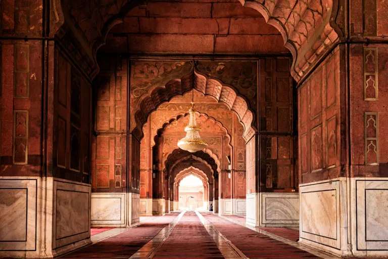 delhi agra jaiput tour with jim corbett safari tour