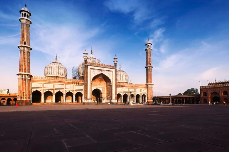 delhi agra jaipur and munnar tea garden tour