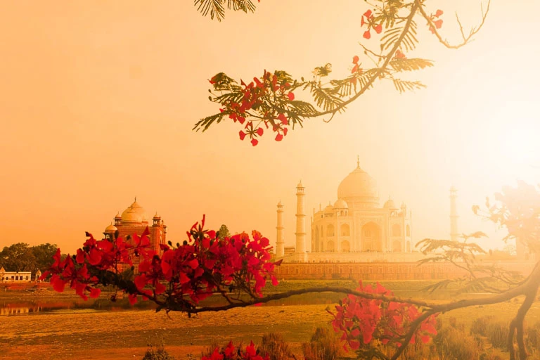 sunrise taj mahal tour from delhi